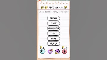 Brain Test Tricky Puzzles Level 128 Answer | Where does bee honey come from?