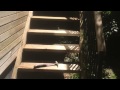 Deck and stairs repairs