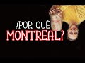 ¿Por qué ELEGIMOS MONTREAL para INMIGRAR?