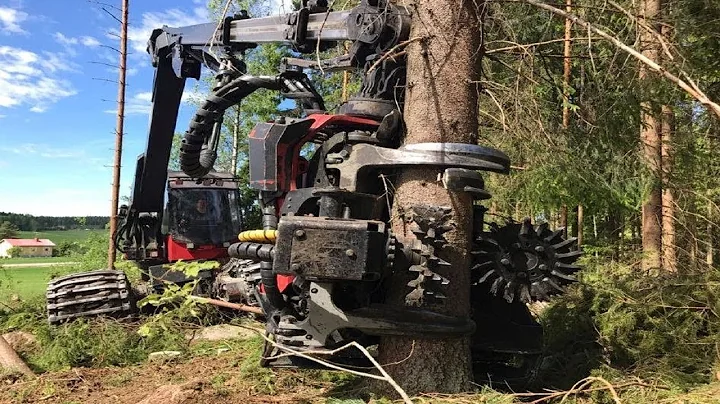 Amazing Huge Tree Felling with Chainsaw Machines ! Dangerous Skills Cutting Down Compilation 18 14