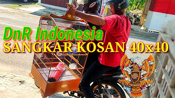 #sangkarburung KOSAN 40x40 DnR Indonesia @garasisuryasangkar9099 Pusat Sangkar Lengkap Murah Kwlitas