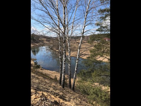 #12 || Прочитано - про кино и не только || #5мгновенийвесны