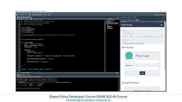 Shiny Module & Authentication Training | DS4B 202-R