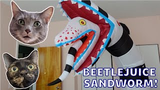 MY CATS REACTING TO A GIANT BEETLEJUICE INFLATABLE!
