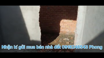 Ms10 : Bán nhà ở xã Bình Nghị - Gò Công Đông , 300m2 giá 450tr