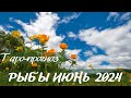 Рыбы ♓️ июнь 2024 🍀 долгожданная гармония  💐