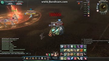 Pally Macro Hacking No Animation