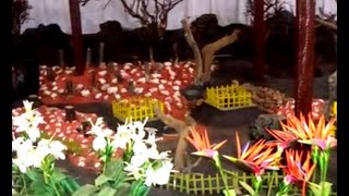 Thread Garden / ஊட்டி நூல் பூங்கா / Thread Garden Ooty Tamil Nadu / Deepa's tea time vlog