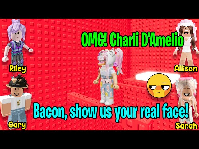 Lily on X: The new Bacon set is out! Here is an upclose look:   👈🏼 Whichever year you joined Roblox, you can def  relate to this 🐷 Soooo many interesting pieces
