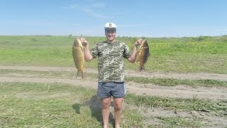 Рыбалка на карпа и амура.Ловля амура.Обрыв большого белого амура Рыбалка на карпа и амура.Ловля амура.Обрыв большого белого амура