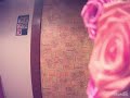 椎名恵/一日前のBirthday【うたスキ動画】