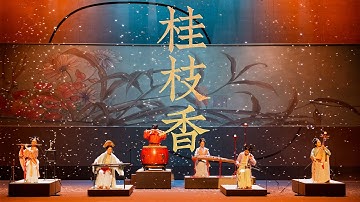 Thumbnail of 这首《桂枝香》好听到流泪Guizhixiang: Beautiful and sad tunes performed by Chinese instruments