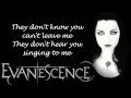 Evanescence~Even In Death // Lyrics(Remake)