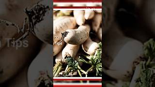 What are the health benefits of eating radishes regularly? #shortsfeeds #shortvideo #shorts