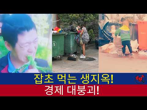 중국반응│쓰레기통 뒤지는 아이들! 잡초 뜯어먹는 생지옥 중국 경제 붕괴│중국의 민낯