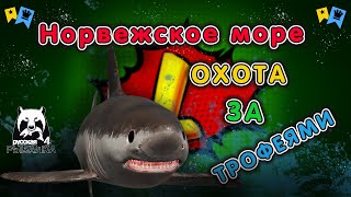 ◦ МОРЕ ◦ Охота за трофеями! ◦ level ◦ Русская рыбалка 4 ◦🎣👍🐬