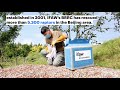 Five rescued raptors fly back into the wild