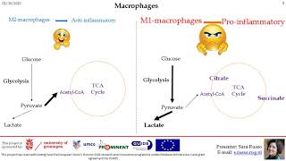 1.3   Epigenetic regulation of diabetes’ related inflammation