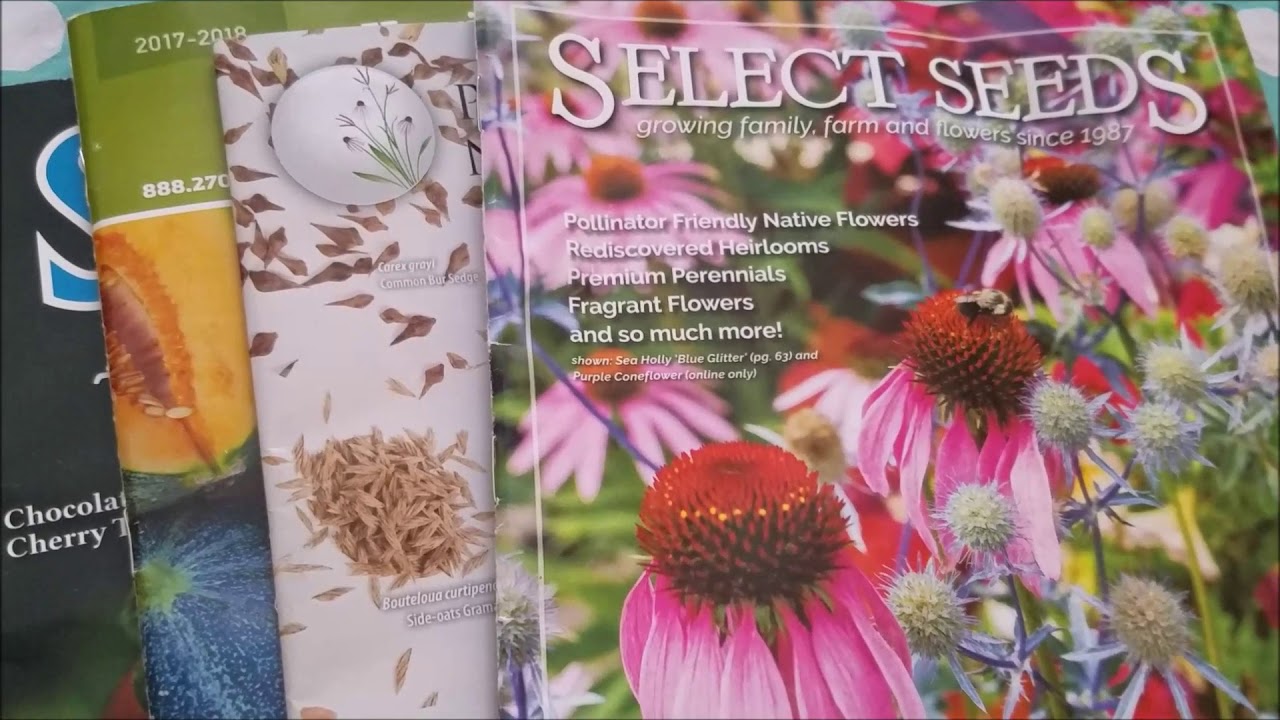 Flower Seed Catalogs 2017 Best Flower Site