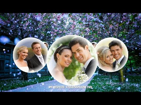 Free download Project Proshow Producer Wedding - Special Ellipse Styles