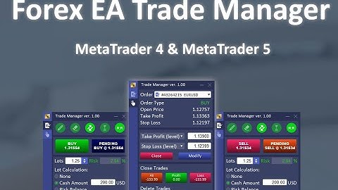 Forex EA Trade Manager MT4/MT5