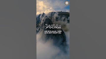 سورة القصص قارئ الشيخ / إدريس أبكر