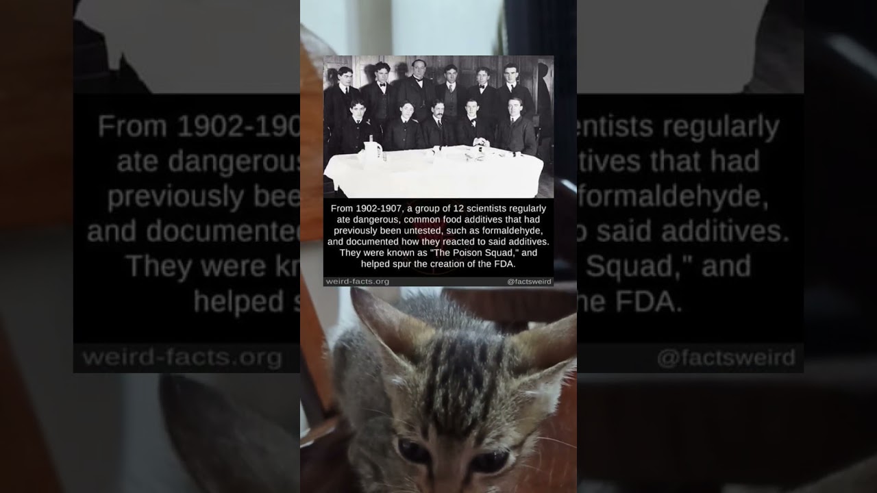 The “Poison Squad” tested toxic additives , leading to the FDA’s creation 