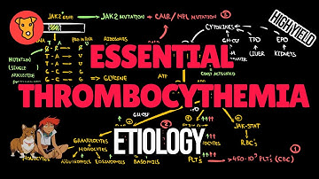 ESSENTIAL THROMBOCYTHEMIA Explained: Etiology. Molecular pathogenesis CALR  JAK2 mutation