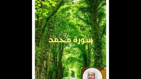 سورة محمد بصوت الشيخ خالد الجليل