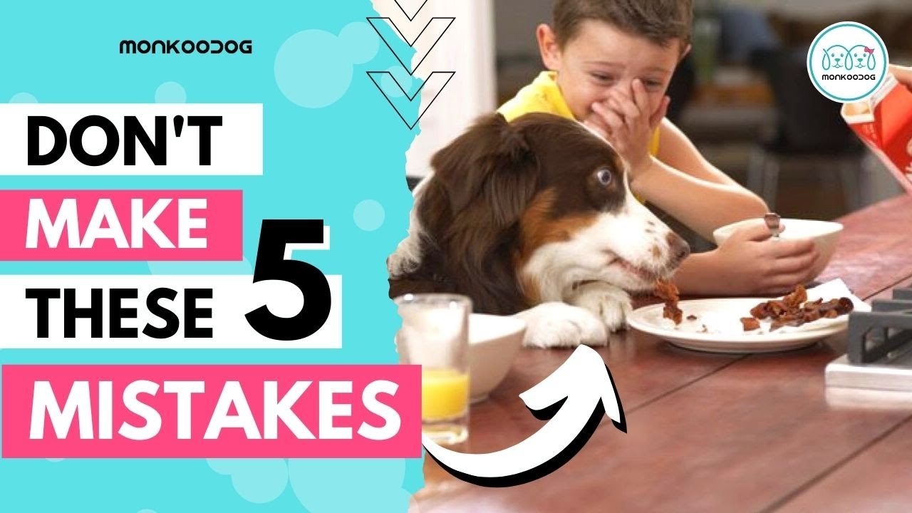 Be a good DOG OWNER !! Don't do these 5 mistakes when you bring a new puppy home.