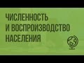 Численность и воспроизводство населения. Видеоурок по географии 10 класс