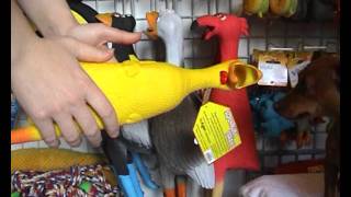 Jouets pour chiens - ChienChatChic