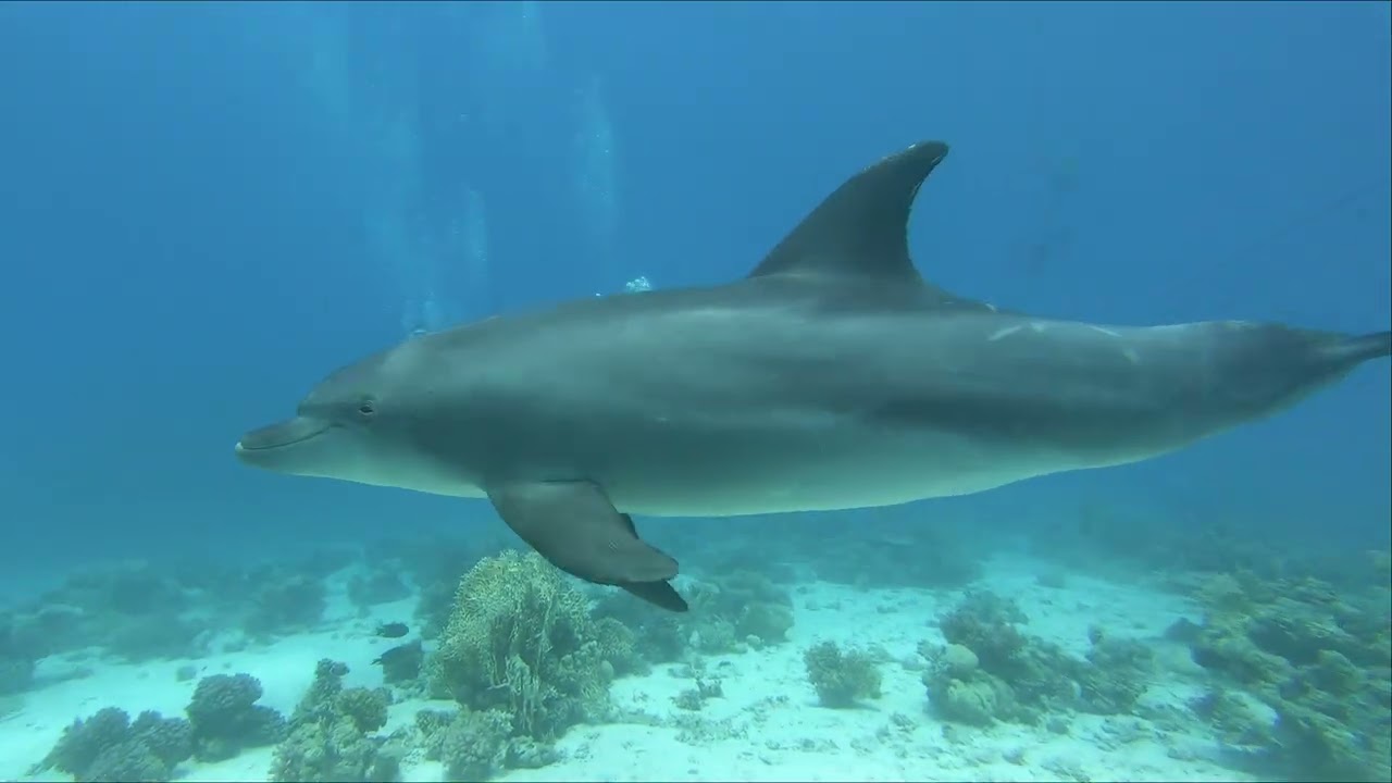 Eté 2025 - Egypte UCPA Hurghada