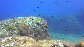 Mallorca Diving