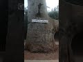 рџ Ірџ Щ Щ Ш Ш Щ Щ ШєШ ШЁЩЉШ рџ Ірџ Щ Щ Ш Ш Щ Щ ШєШ ШЁЩЉШ