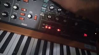 House Dawless Synth Jam with BEHRINGER CRAVE TB303 RD6 POLY D