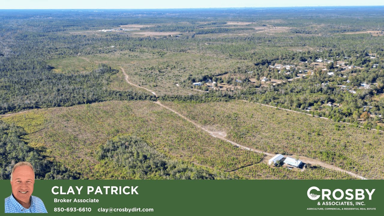 202 Acres in Northwest Florida | Timber Investment, Hunting Land & Coastal Access | Youngstown, FL