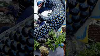 di liput sama JTV #karnaval