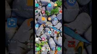 Cara Membuat Wallpaper Ikan Koi Hidup di Hp Android screenshot 4