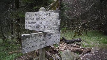 Module 3 Activity 4 clip edit