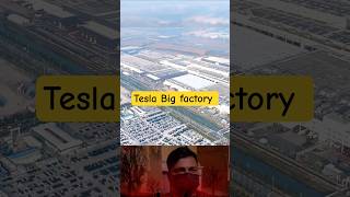🚗 The Most Powerful Tesla Factory in the World! 😱#shorts#facts #viral