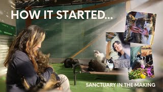 Why I'm Starting A Cat Sanctuary ๐ฑ