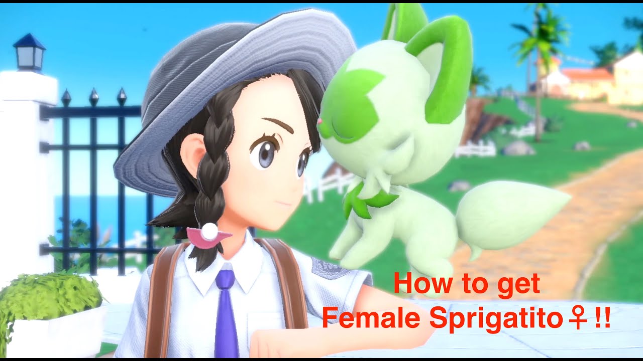 Can you get a female sprigatito