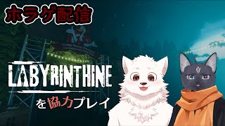【Labyrinthine】協力型のホラゲーをやっていく /w 黒猫龍星