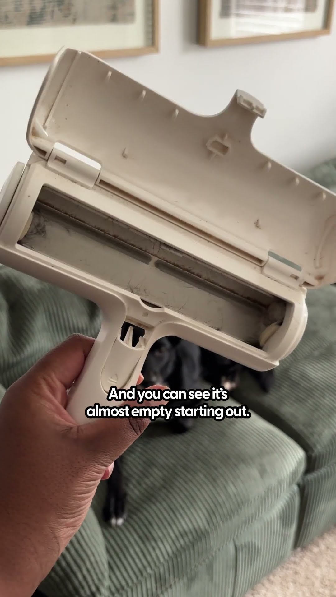 Testing Out The ChomChom Pet Hair Removal Roller | The Pack