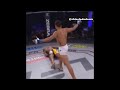 Brutal knockouts in fighting history compilation  chiseled adonis