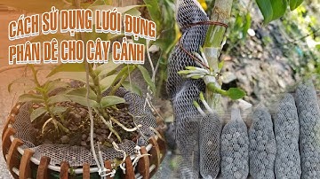 Cách sử dụng lưới đựng phân dê cho cây cảnh/Tuiluoithanhha.com