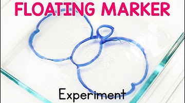 Floating Dry Erase Marker Science Experiment