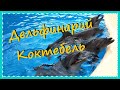 КРЫМ 2018. Дельфинарий КОКТЕБЕЛЬ. 🐬🐬🐬