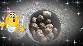 Авто /Алиэкспресс-и-нетолько
